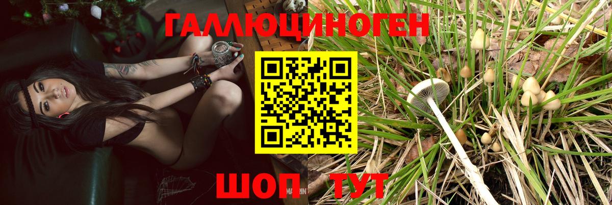цены   Вход с VPN  Саянск  Галлюциногенные грибы GOLDEN TEACHER 