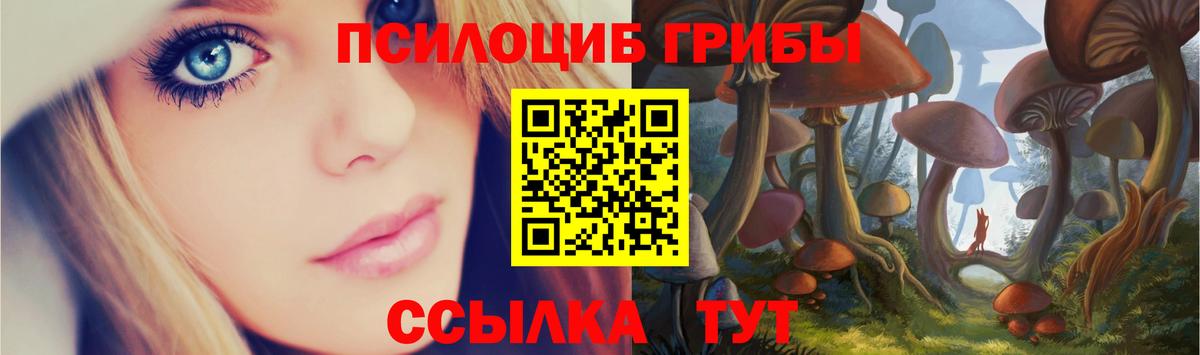 Галлюциногенные грибы мицелий Саянск